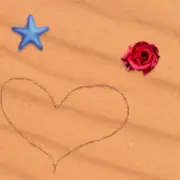 Draw