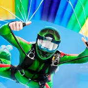 Fly